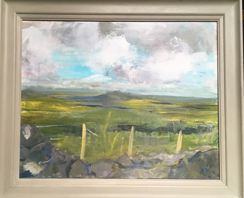 71.  View from Rhiw Mountain - Over the Sheep Fence  by Sarah Heelis (Nesbitt)