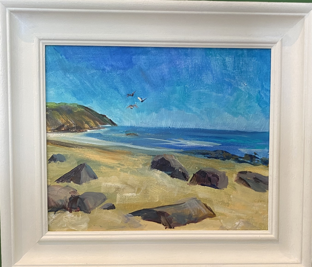 Birds on Aberdaron beach by Sarah Heelis (Nesbitt)