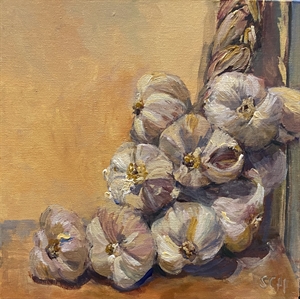 64.   String of garlic 