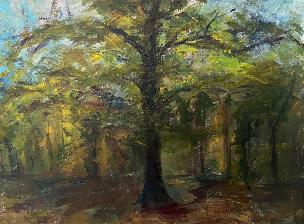 Clumber light  by Sarah Heelis (Nesbitt)